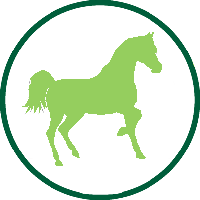 Galopes